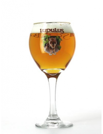 Lupulus Hopera - Verre