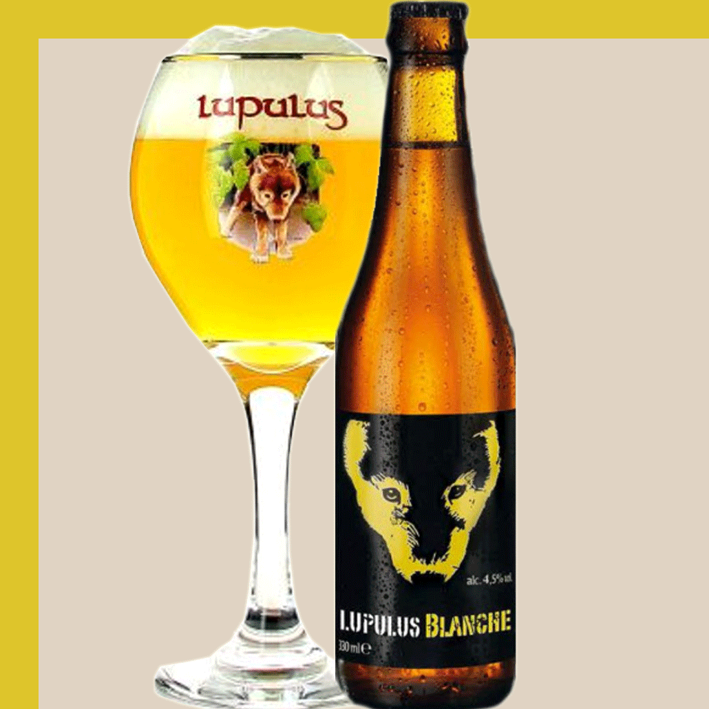 Lupulus Blanche